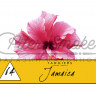 Табак Tangiers Noir - Jamaica (Ямайка) 250 гр