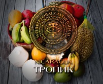 Табак WTO - Nicaragua (Тропик) N14 20 гр